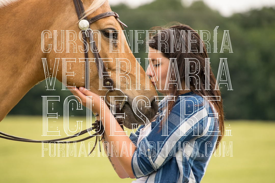 curso enfermería veterinaria general, ecuestre y exóticos