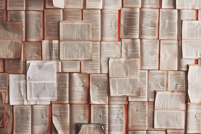 Oposiciones Lengua y Literatura (Oposición Secundaria)