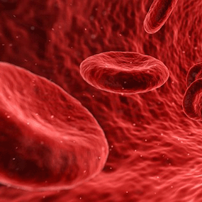 Curso Especialista en Banco de sangre