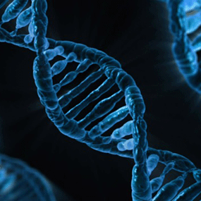 Curso Técnico en microbiología