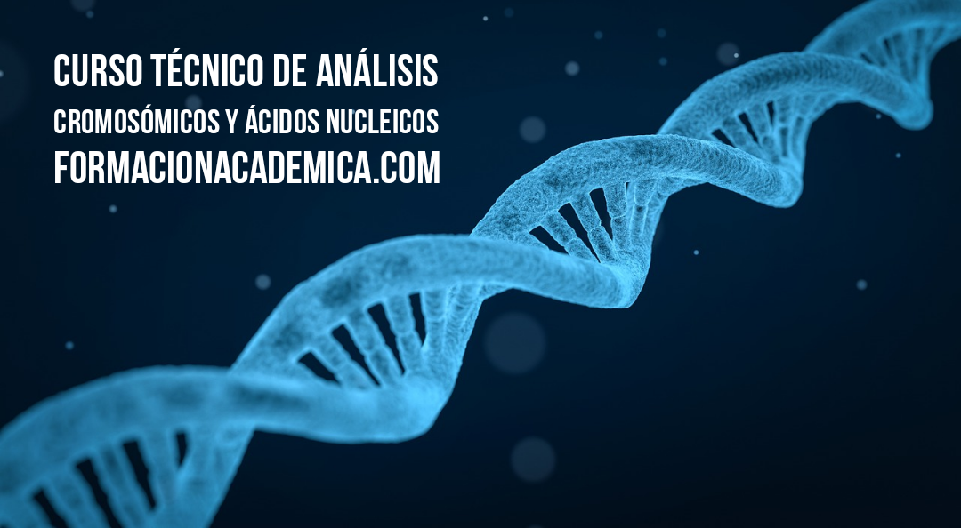 curso adn