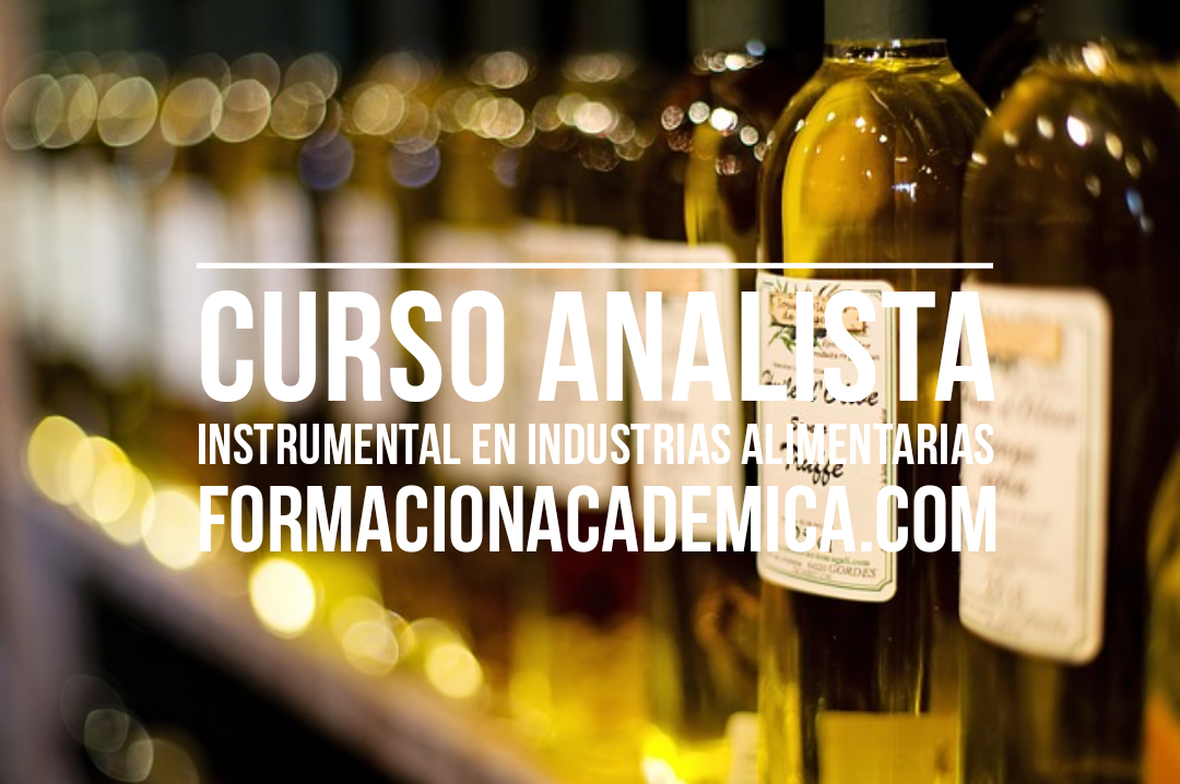 curso analista instrumental industria alimentaria