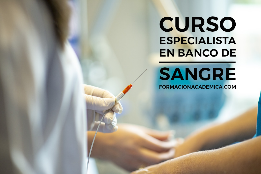 curso banco de sangre