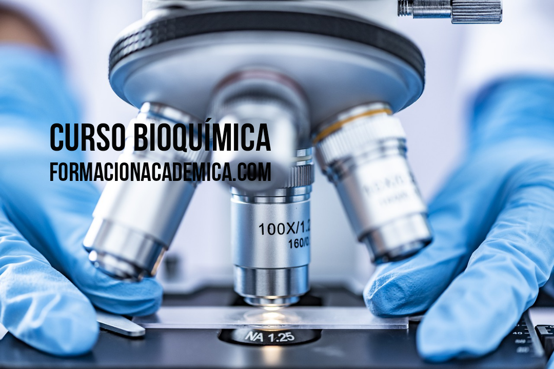 curso bioquimica