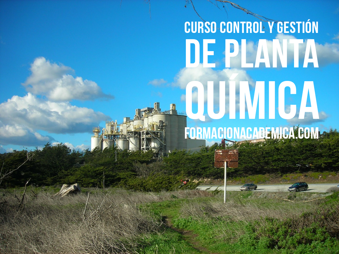 curso control gestion planta quimica