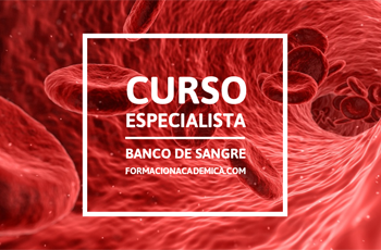 curso banco de sangre