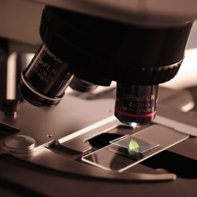 Curso Analista en microbiología