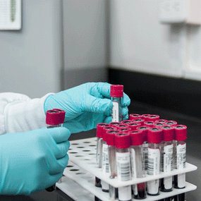 Curso Técnico de organización de laboratorio 