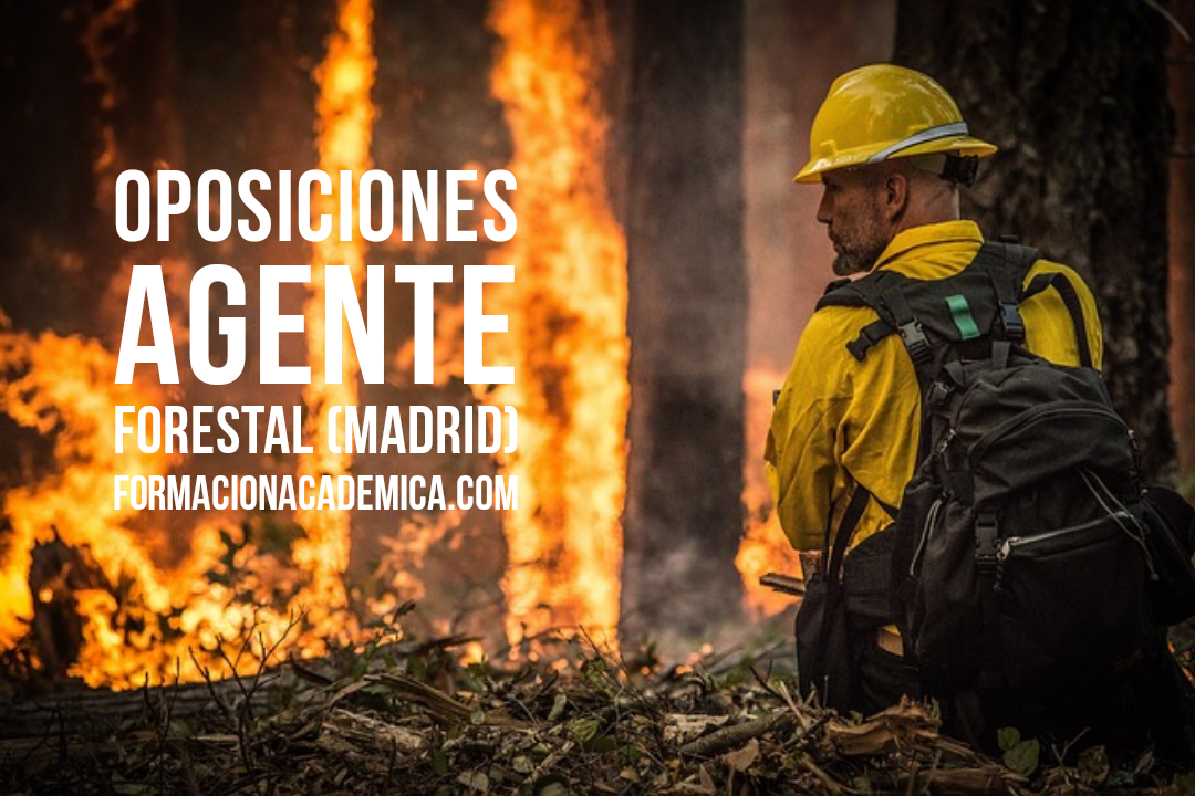 oposiciones agente forestal